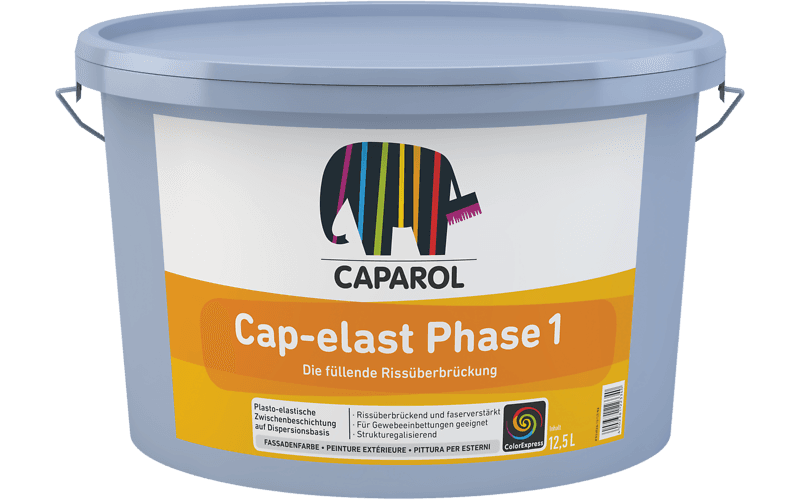 Cap-elast Phase 1