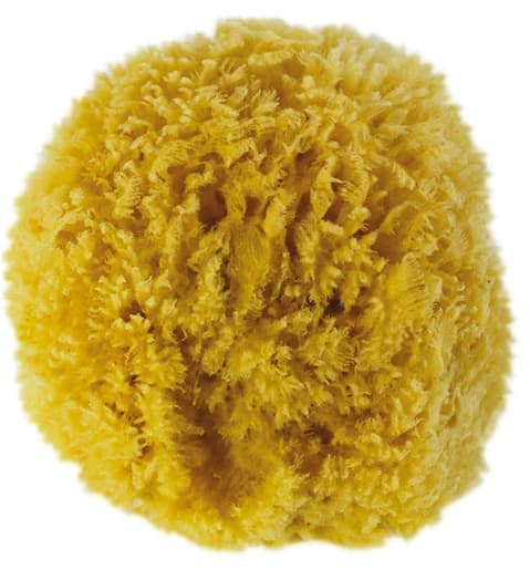 WD Naturschwamm ca.10-