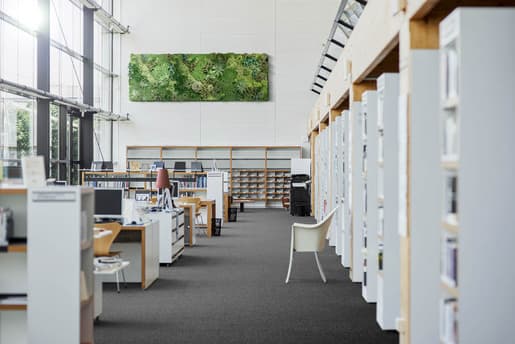 MPlus Avantgarde 2029 2205-095 TR