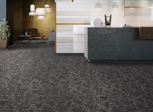 MPlus Extrem 2029 TB 1158-77 TR