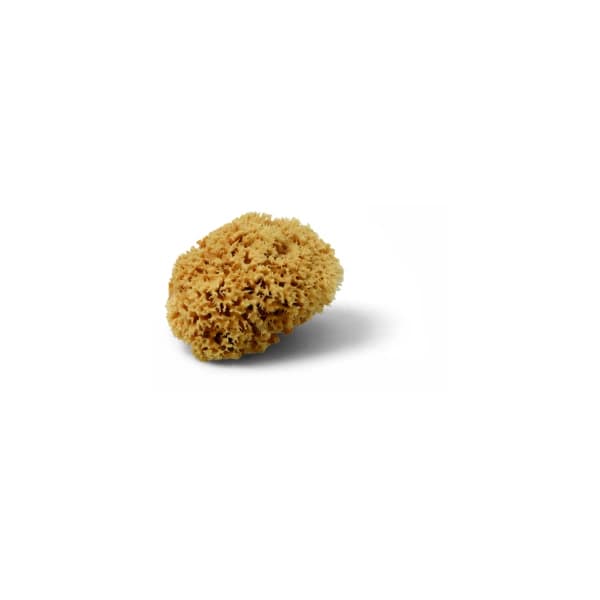 Magic Sponge 12cm Naturschwamm, ca. d=12 cm